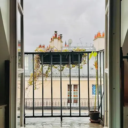 11 Rooftop View